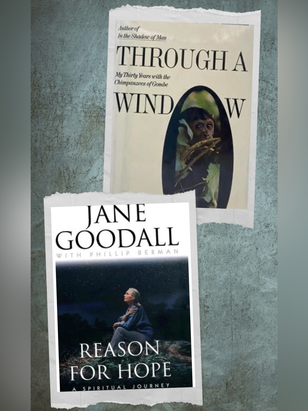 Jane Goodall Set